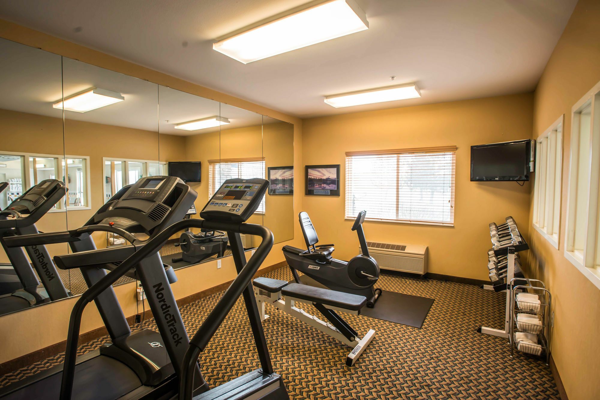 Comfort Inn Fort Collins North Экстерьер фото